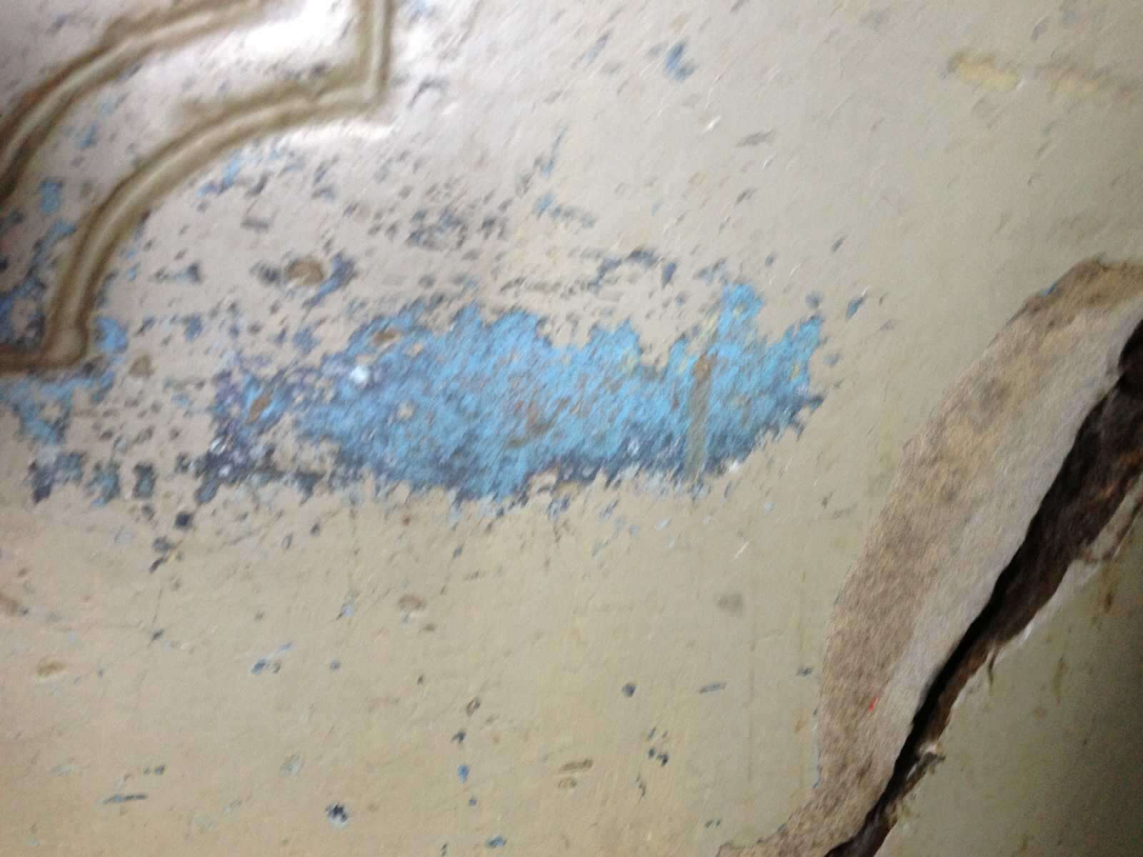 Stube in &Ouml;l: Original-Farbt&ouml;ne