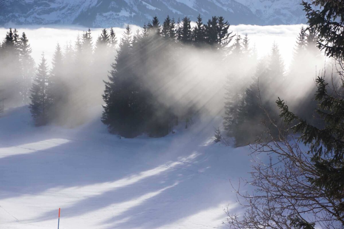 Sonnenlicht und Schatten im Nebel