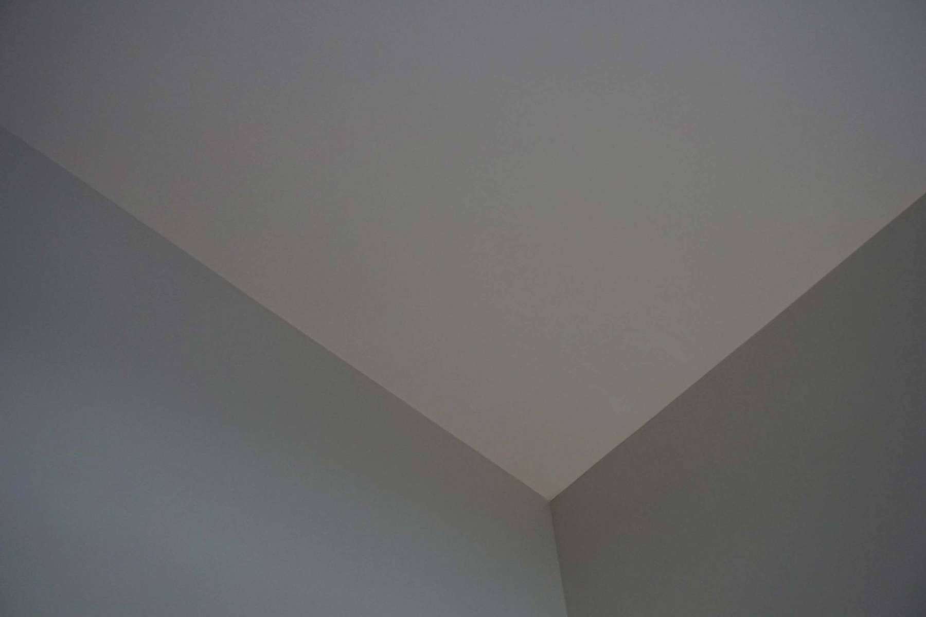 kt 32.014 Gris Natur in der schattigen Ecke