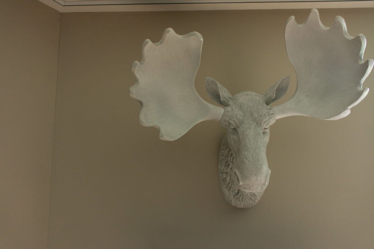 Elch vor terre d'ombre p&acirc;le