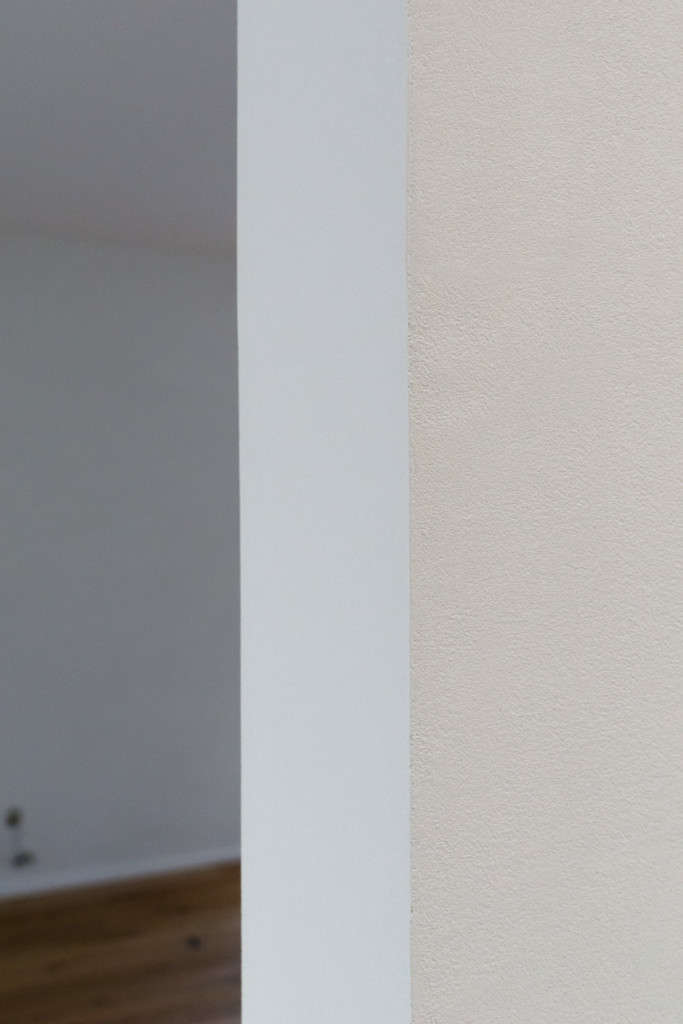 Detail Mauerkopf, Sumpfkalk Zero4