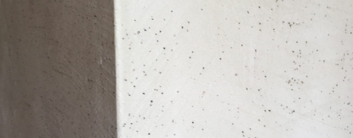 Frisch geseift ist halb gewonnen